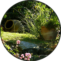 Paysagiste à Sartrouville : Décoration de jardin